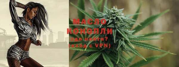 метадон Снежногорск