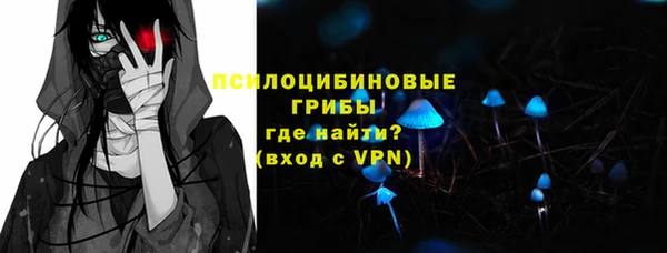 гидра Кукмор