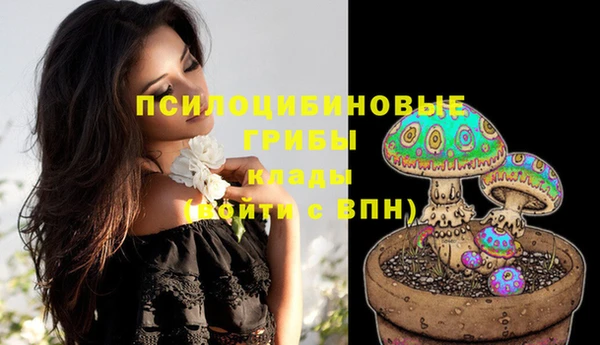 ПСИЛОЦИБИНОВЫЕ ГРИБЫ Семилуки