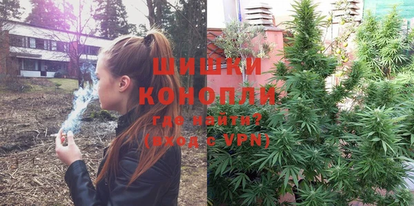 PSILOCYBIN Красноперекопск