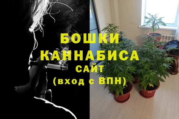 ПСИЛОЦИБИНОВЫЕ ГРИБЫ Куйбышев